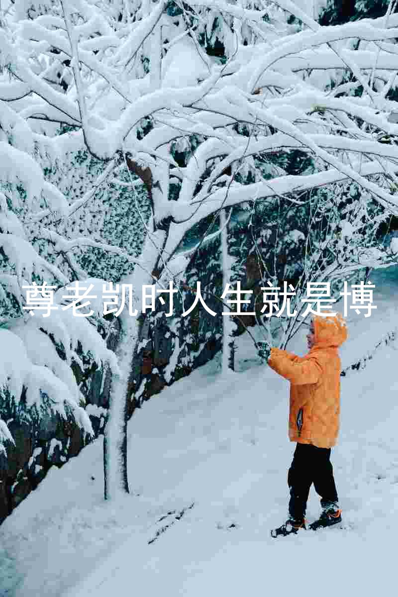 尊老凯时人生就是博
