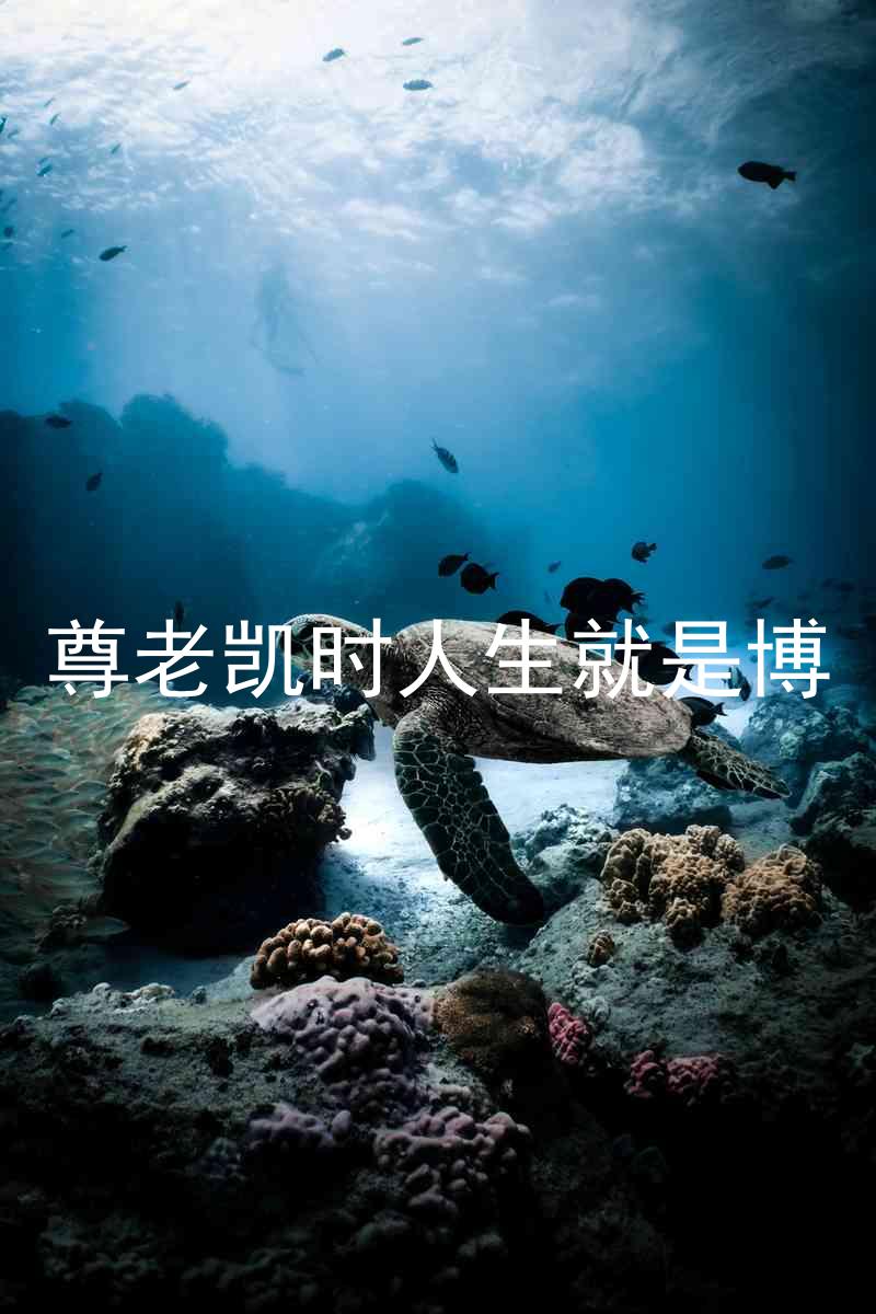 尊老凯时人生就是博