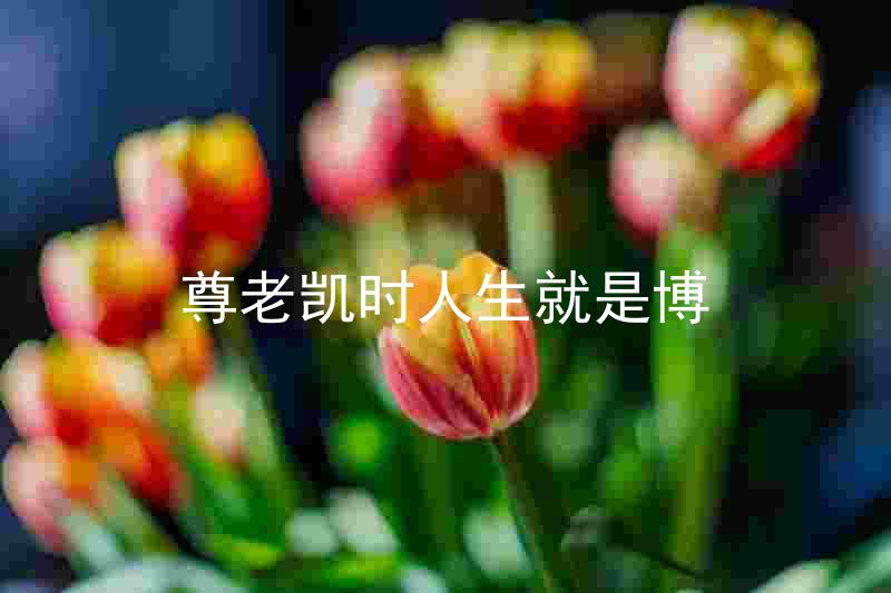 尊老凯时人生就是博