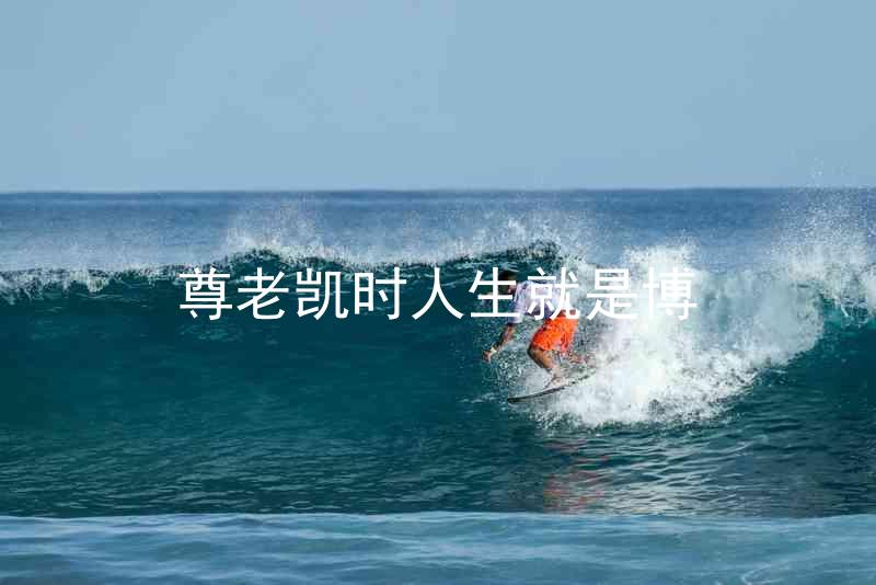 尊老凯时人生就是博