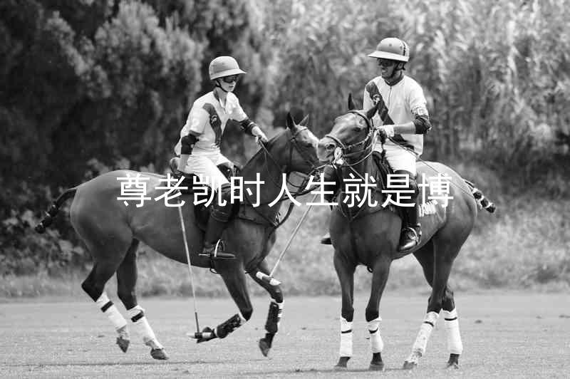 尊老凯时人生就是博