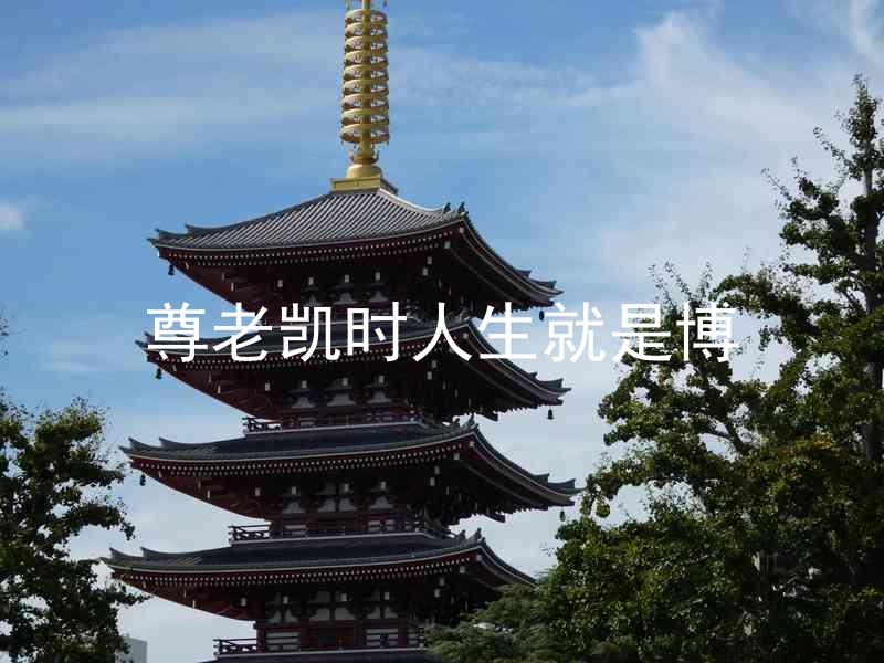 尊老凯时人生就是博
