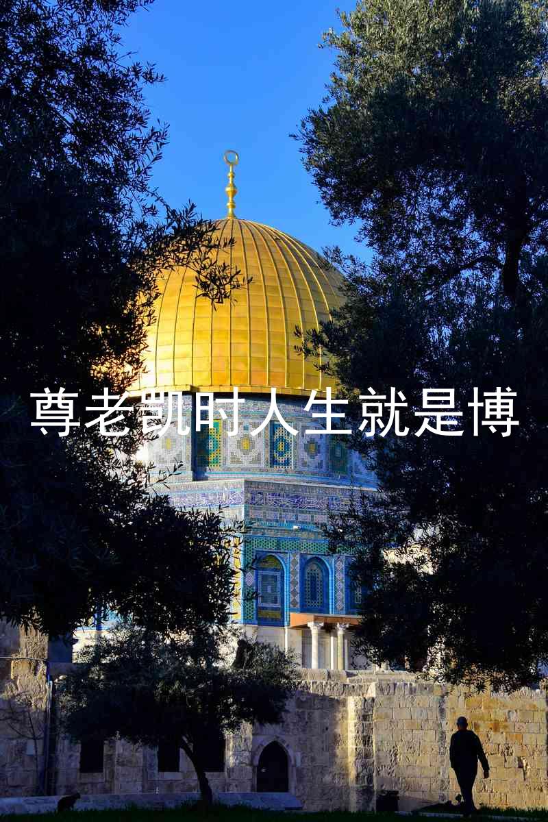 尊老凯时人生就是博