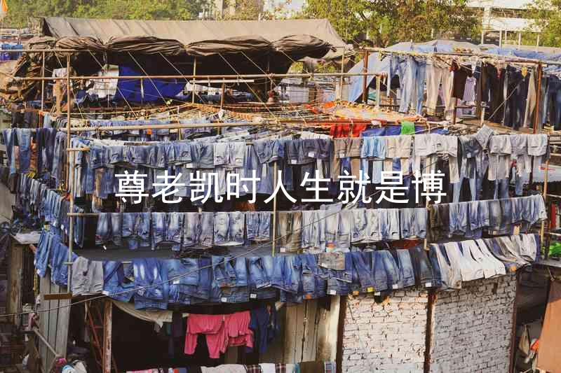 尊老凯时人生就是博