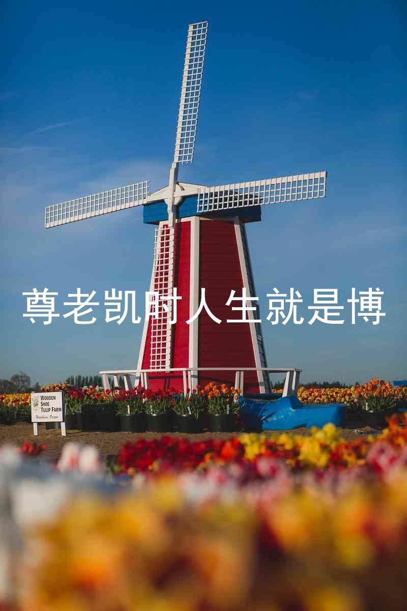 尊老凯时人生就是博