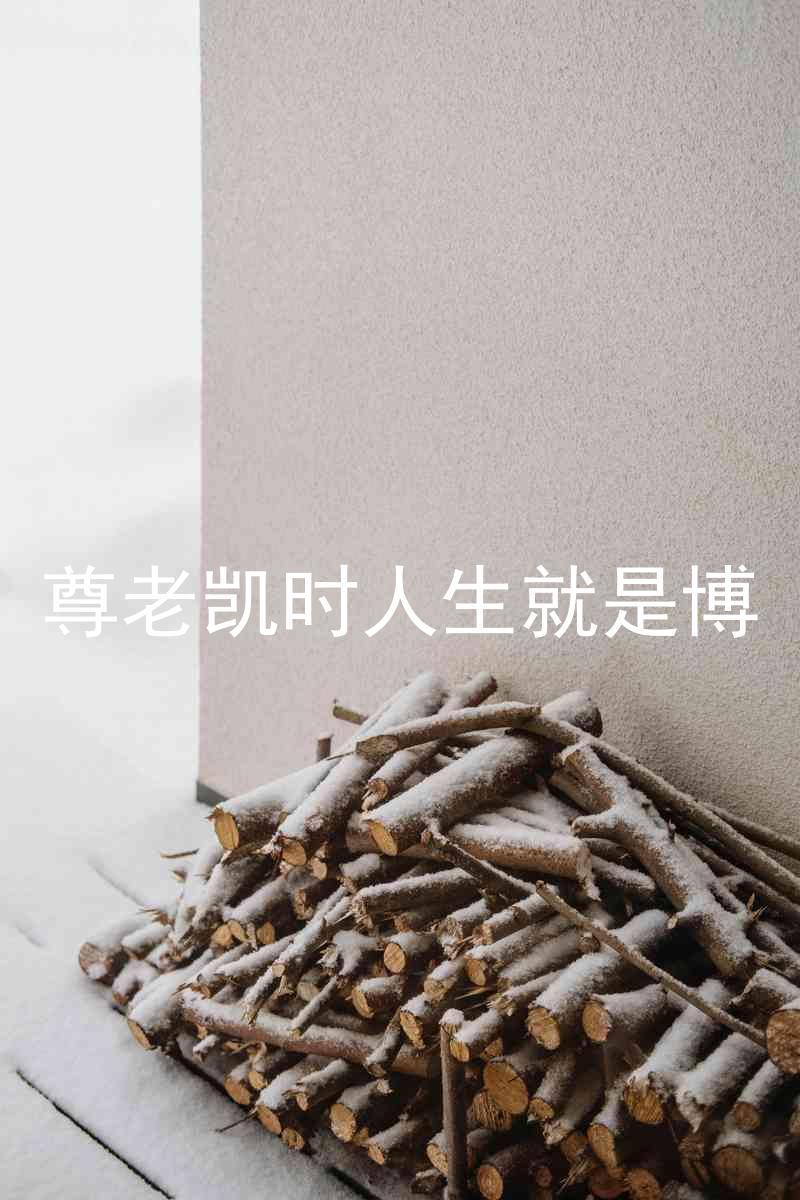 尊老凯时人生就是博
