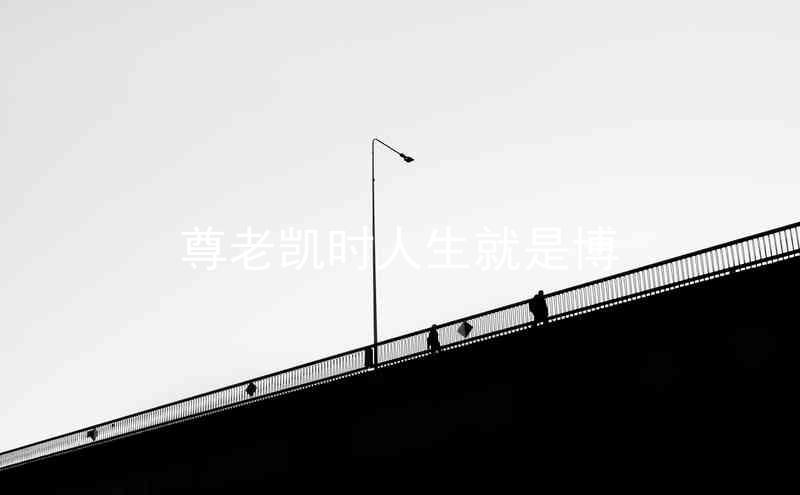 尊老凯时人生就是博